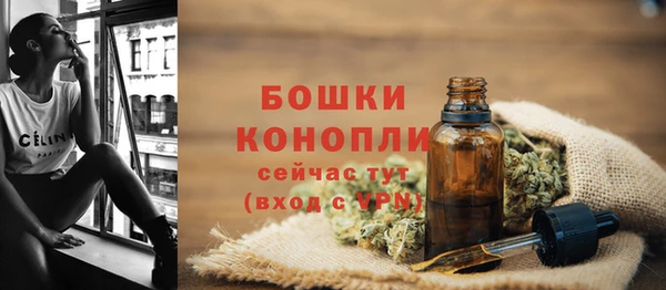 шишки Бугульма