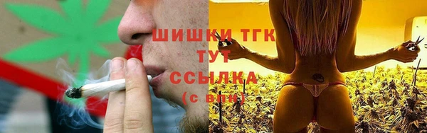 spice Богданович
