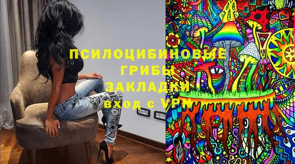 spice Богданович