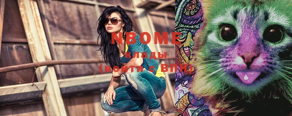 spice Богданович