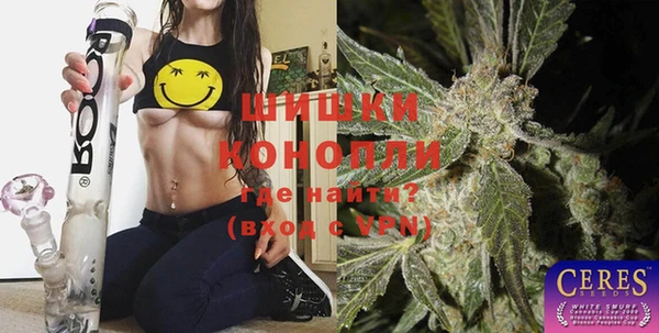 spice Богданович